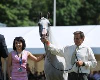 MAMBA - Najlepszy Wyścigowy Koń Pokazu / The Best Racehorse of the Show, fot. Stuart Vesty