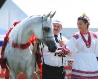 EMANDORIA - Najlepszy Koń Pokazu / Best in Show, fot. Stuart Vesty
